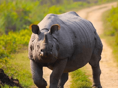 North East India with taj mahal | day 10