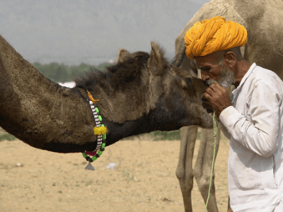 Epic North & Central India | Day 10