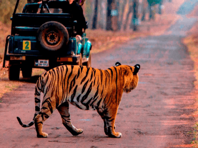 Epic North & Central India | Day 17