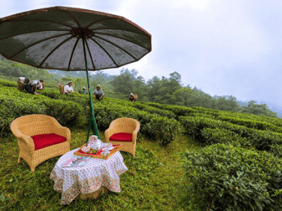 Fascinating East India | Day 3