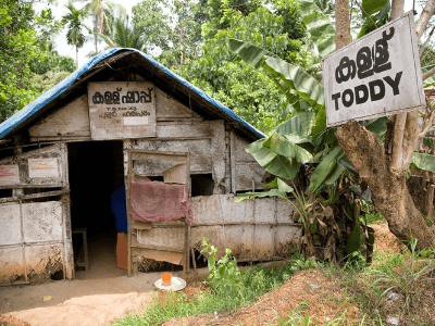 Golden triangle with kerala | day 5