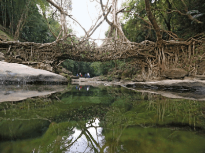 North East India with taj mahal | day 7